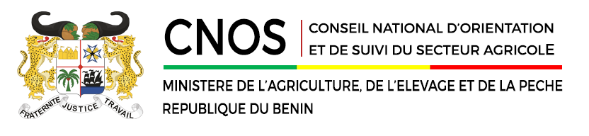 CNOS Logo
